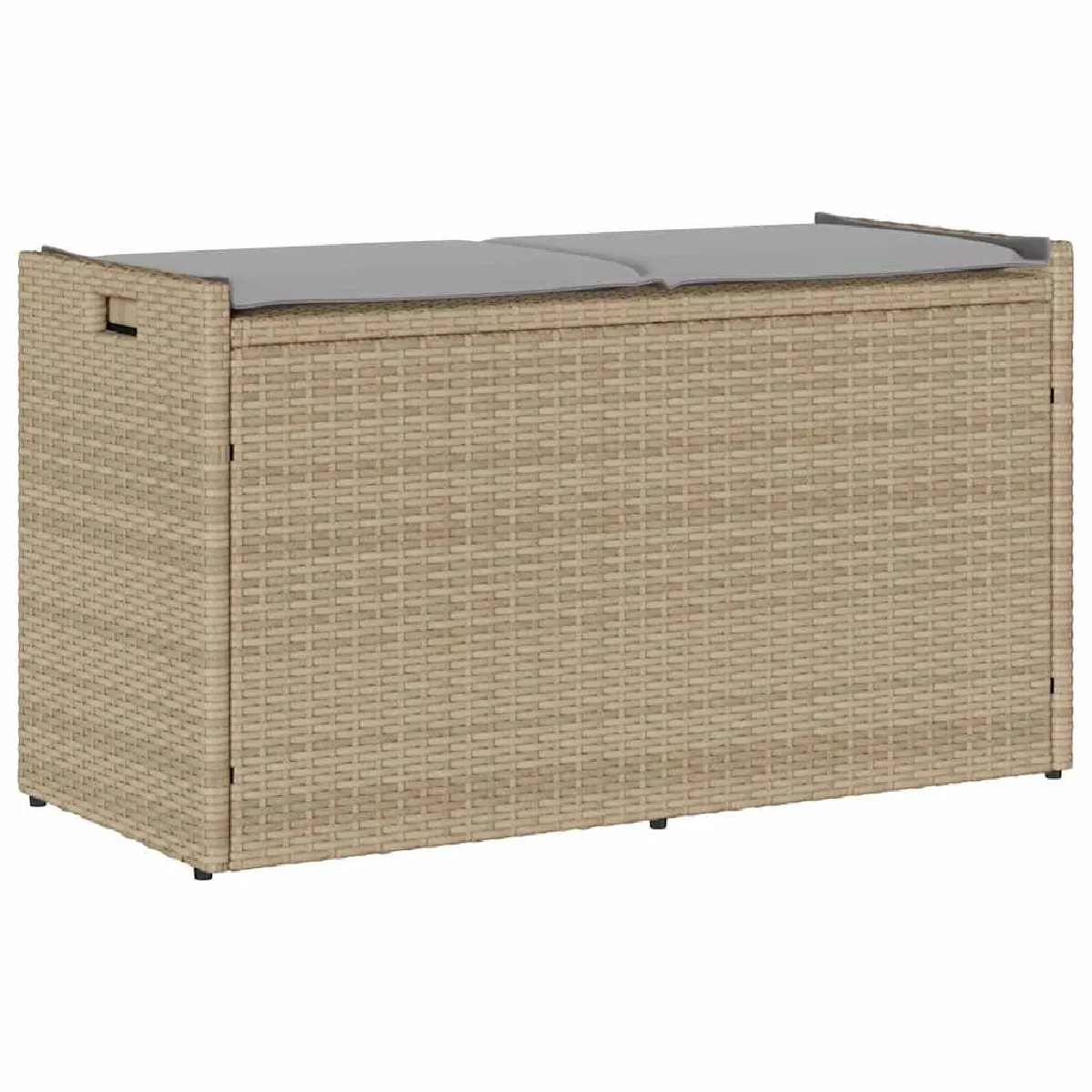 Vidaxl Banc de rangement - extérieur - coussin 100 cm