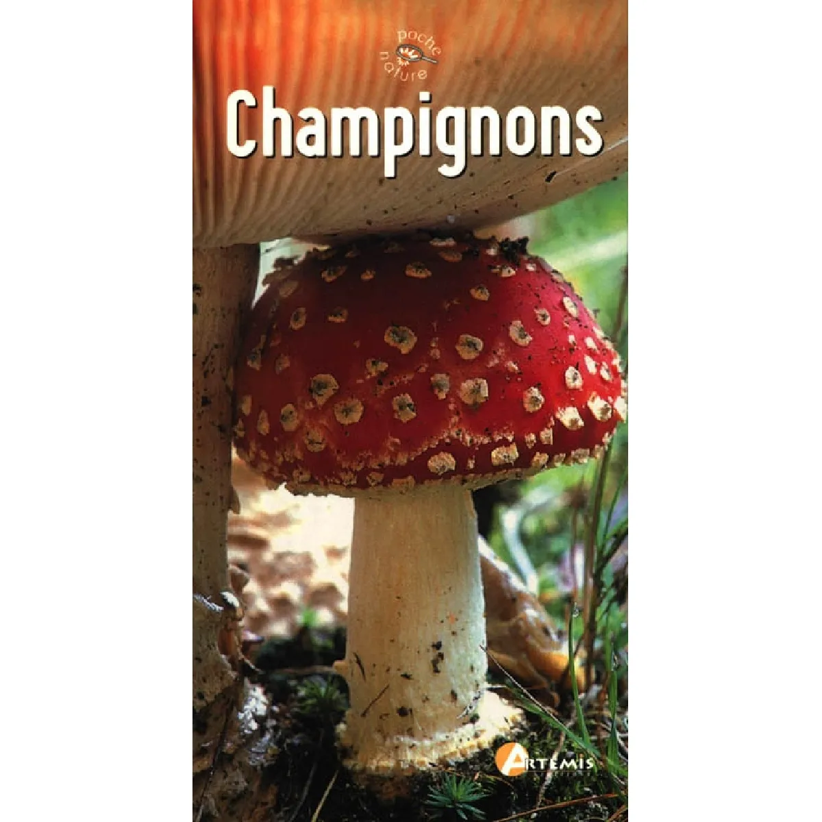 Champignons