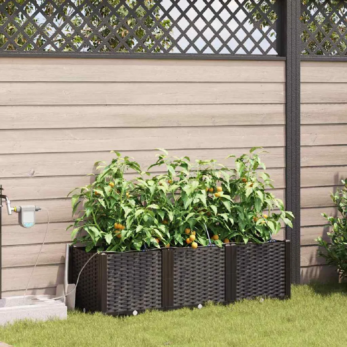 vidaXL Jardinières irriguées 3 pcs - vue 2