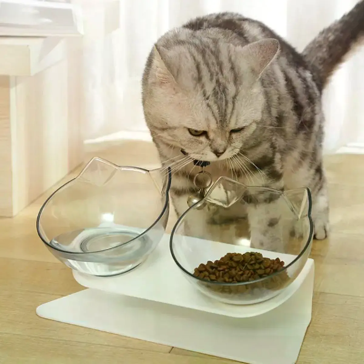 Meilleurs prix pour Double bol incliné pour chien