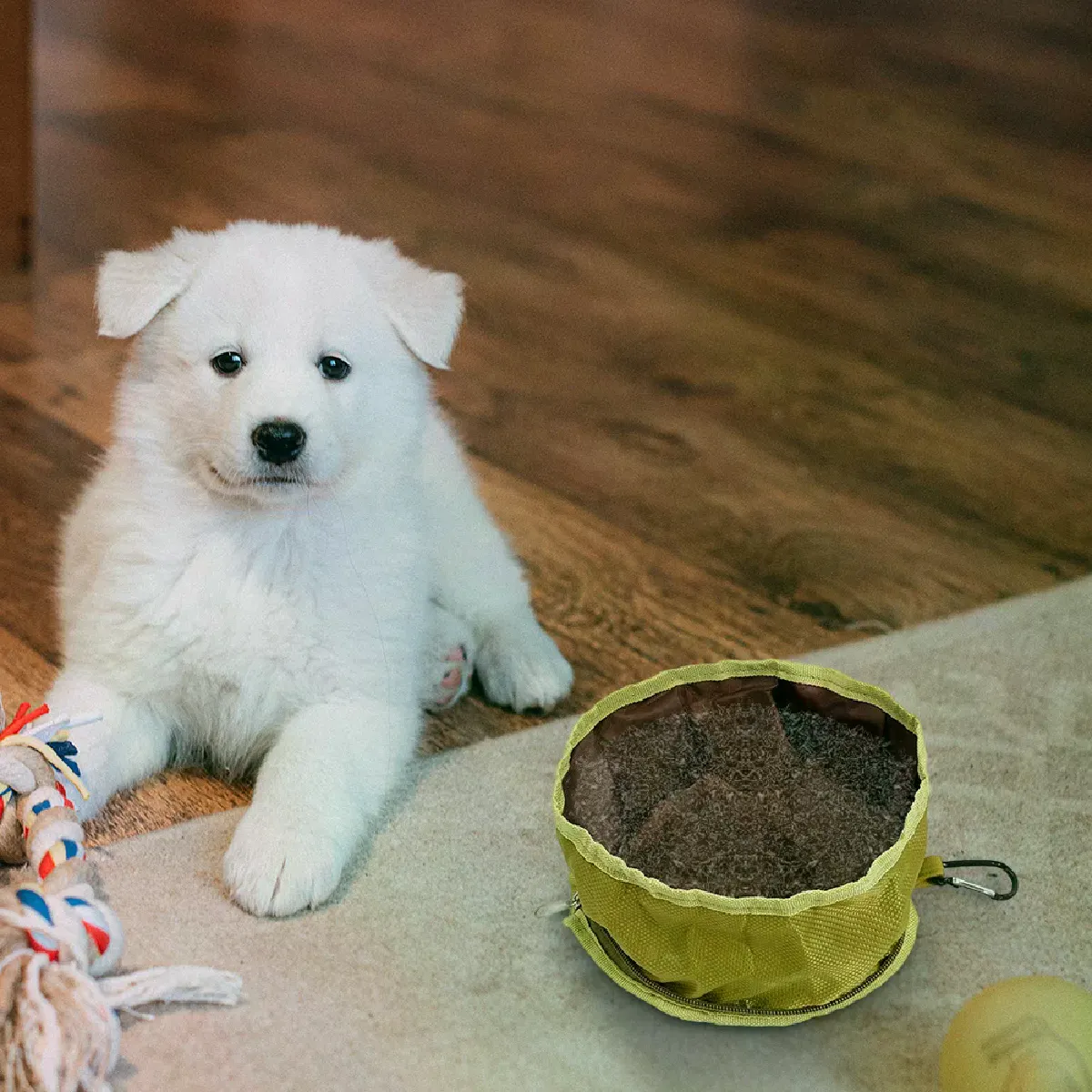 Meilleurs prix pour Bol à boire pliable pour chien - Portable