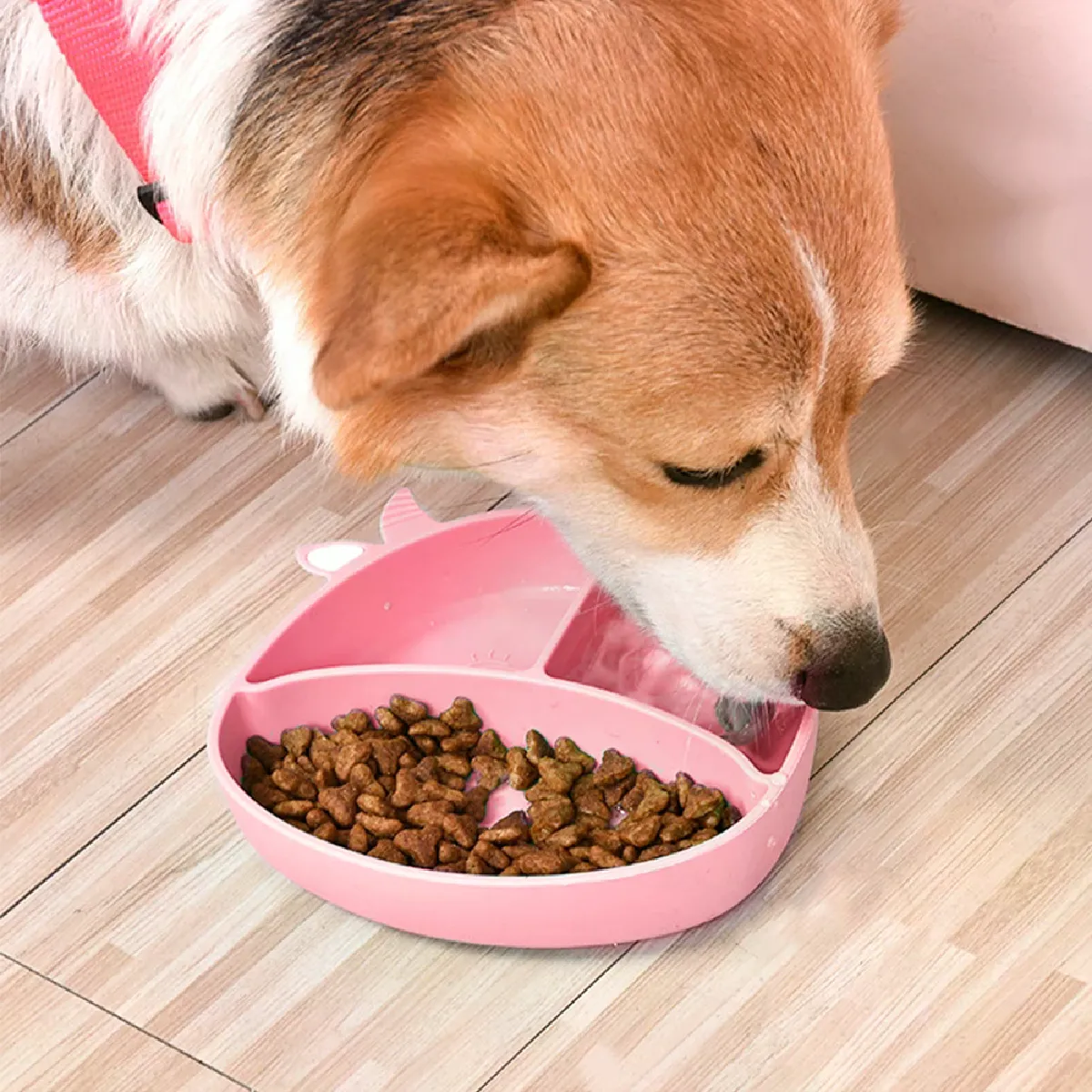 Comparer les prix de Bol de design pour chien