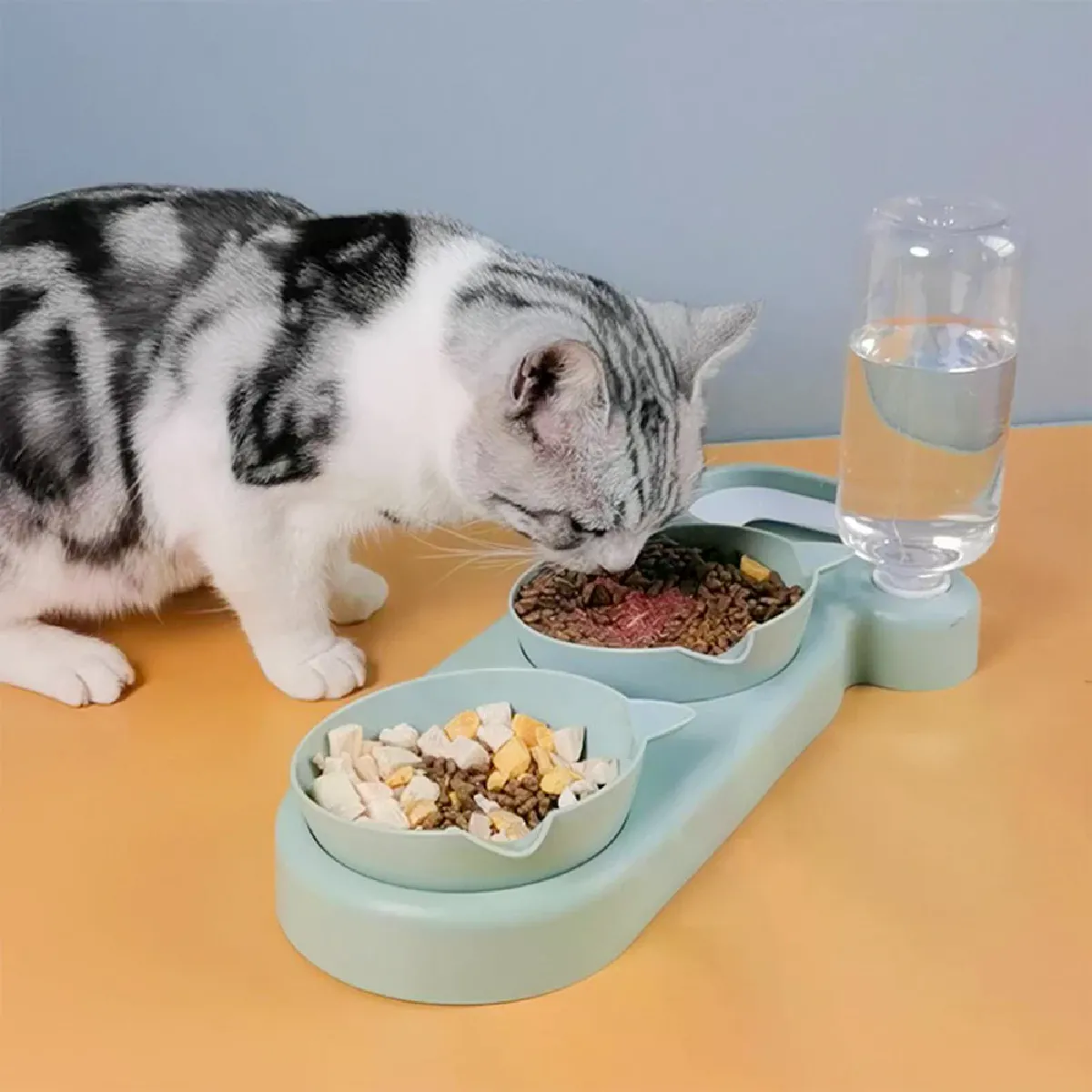 Comparer les prix de Double bol d'alimentation automatique pour animaux de compagnie, distributeur d'eau et de nourriture, support surélevé, pour chiens et chats