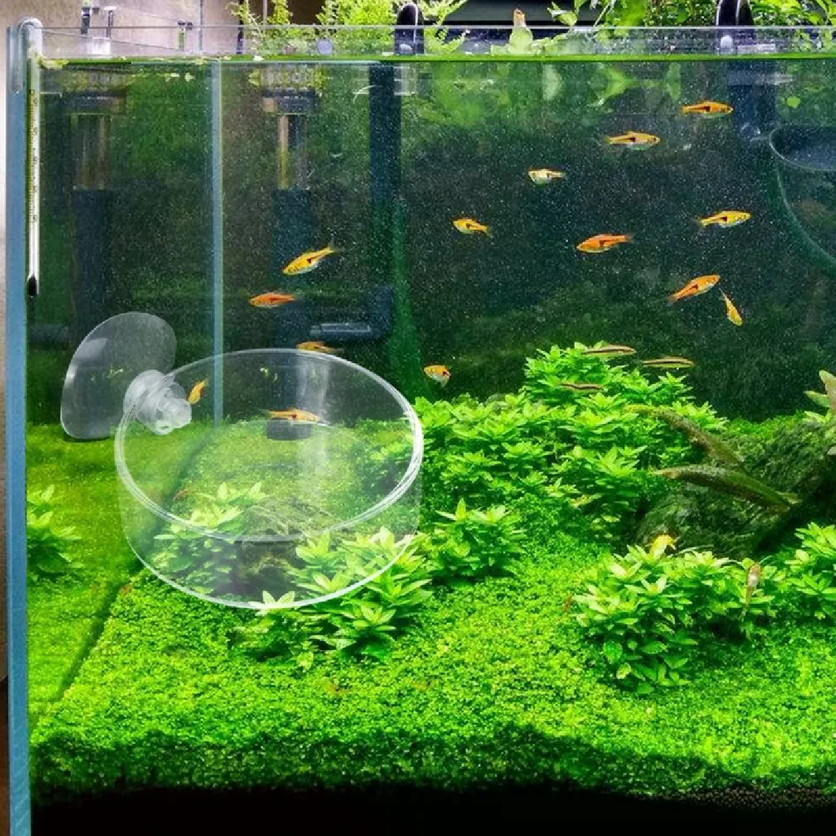 Comparer les prix de Bol d'alimentation en verre transparent pour Aquarium, nouvelle collection