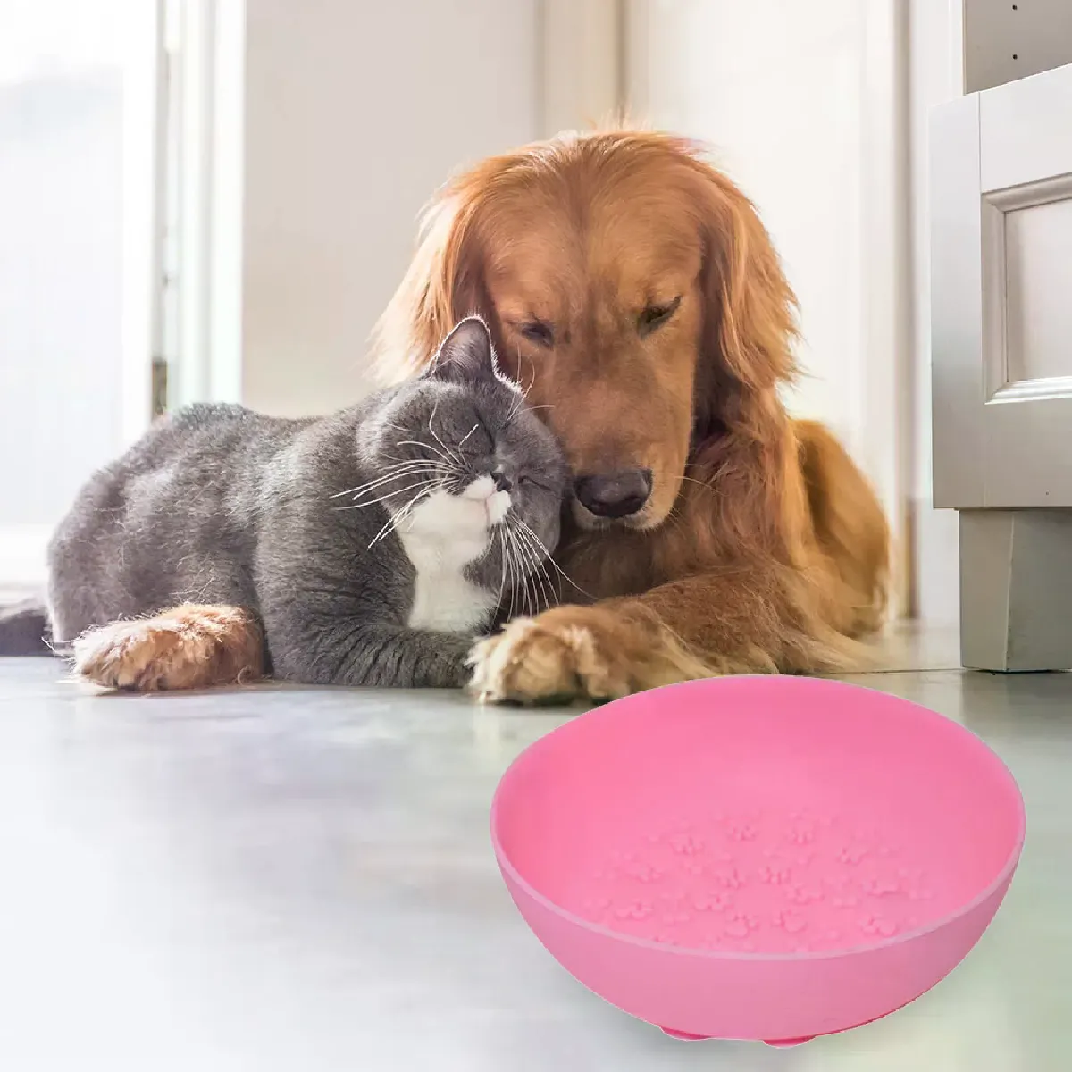 Meilleurs prix pour Bols à alimentation lente en Silicone pour chiens et chats, animaux de compagnie, mangeoires lentes, bols de distribution de friandises pour la maison, fournitures pour animaux de compagnie