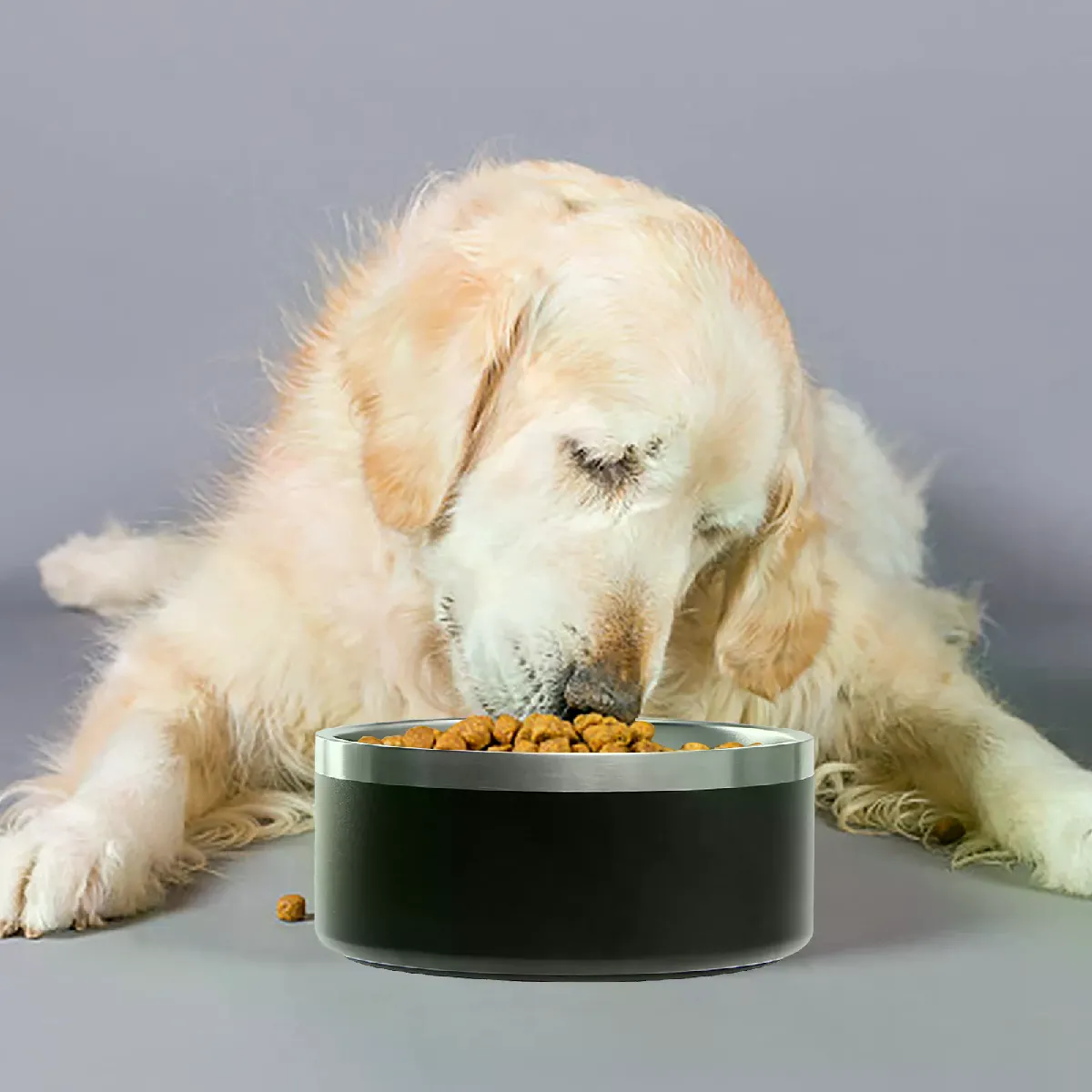 Meilleurs prix pour Bol d'alimentation en acier inoxydable pour chat et chien, abreuvoir avec empreintes de pas, pour voyage, pour chiots et chatons