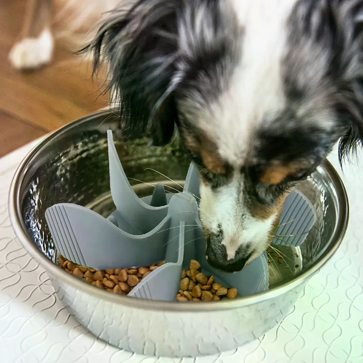 Comparer les prix de Bol à alimentation lente - Insertion amovible