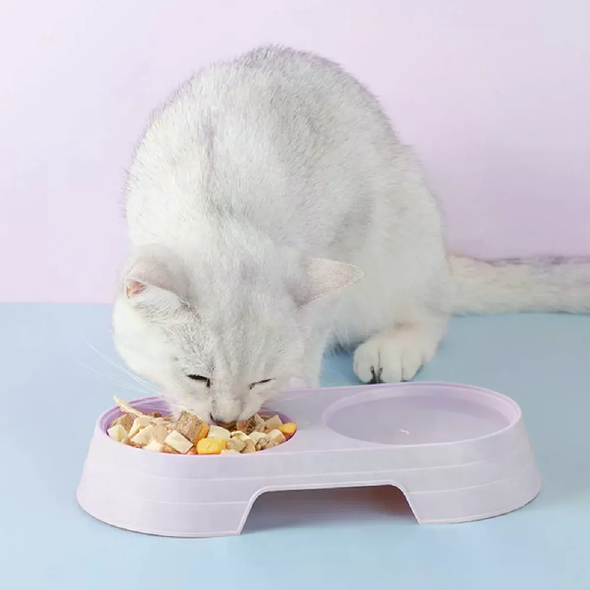 Meilleurs prix pour Bol d'alimentation en plastique 2 en 1 pour animaux de compagnie, bol d'alimentation, Double bol, couleur bonbon, séparation des aliments et de l'eau