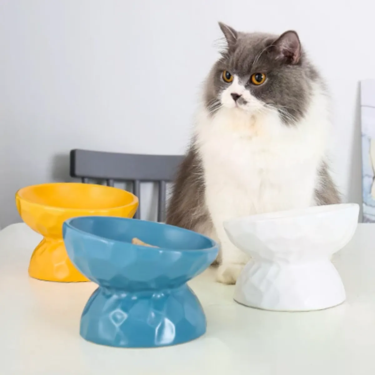 Meilleurs prix pour Bols en céramique pour chat - Réduit la charge du cou