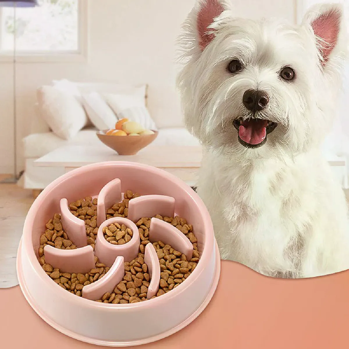 Meilleurs prix pour Gamelle anti-glouton et anti-étouffement pour chien et chat,pour que votre animal ne mange pas trop vite, accessoire/stock pour animaux de compagnie