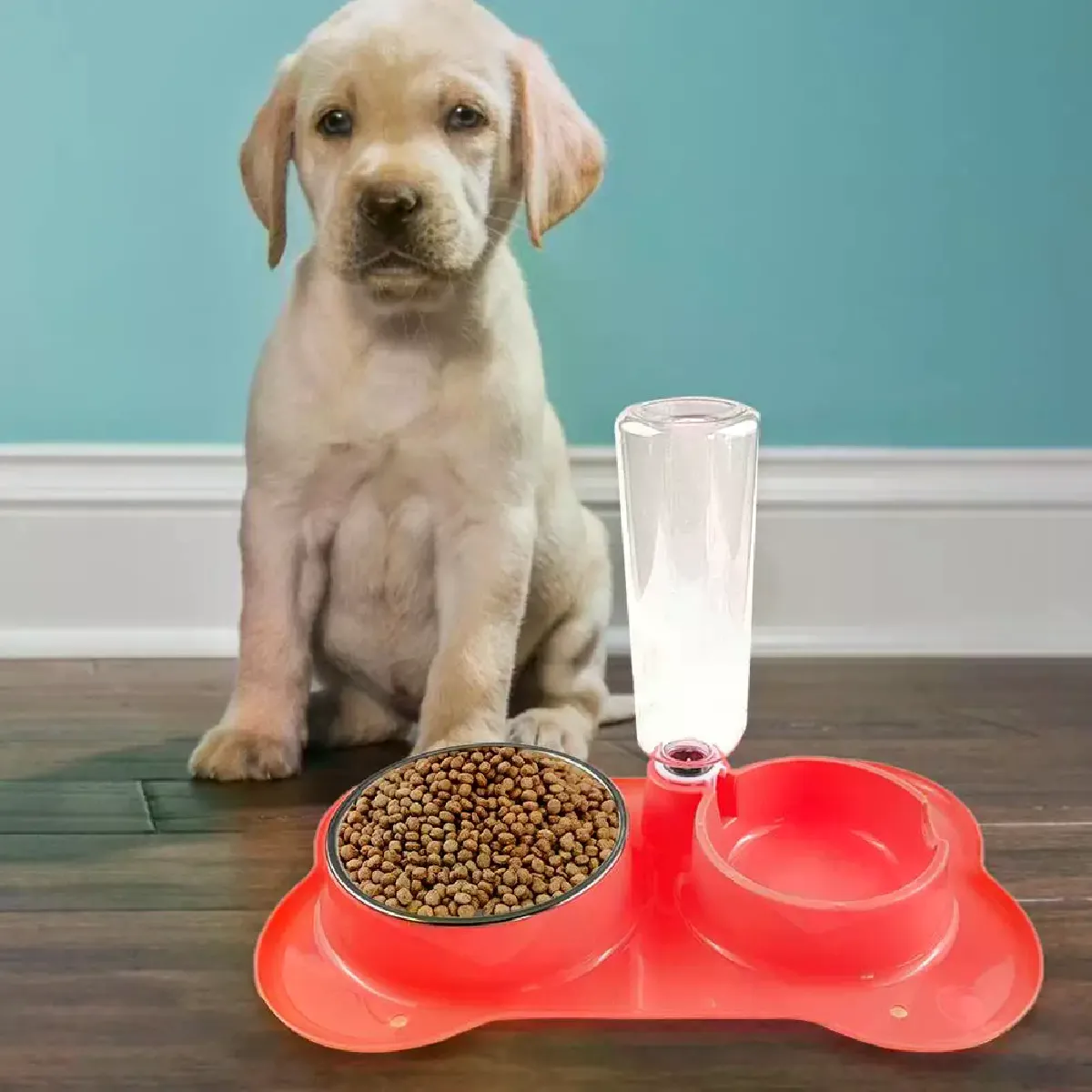 Meilleurs prix pour Mangeoire double en acier inoxydable - Siphon