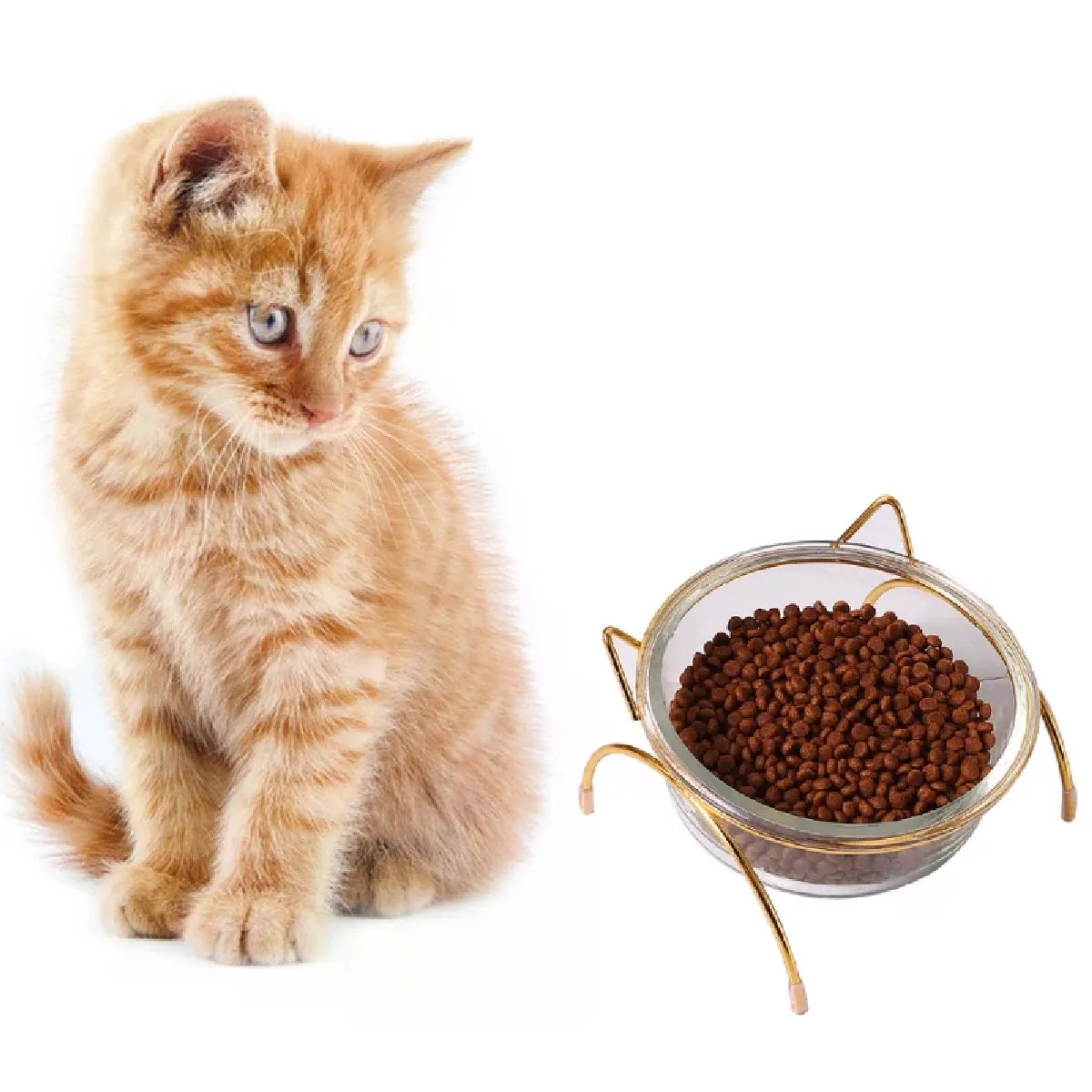 Comparer les prix de Bol en verre incliné - Support en métal