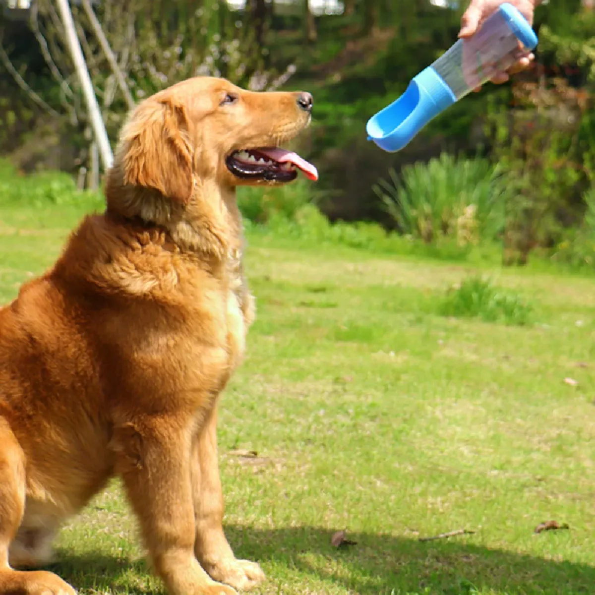 Comparer les prix de Bouteille d'eau à presser - Distributeur portable