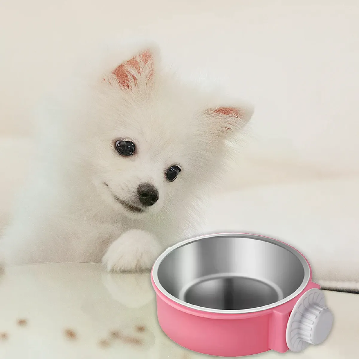 Meilleurs prix pour Bol suspendu à Cage fixe pour animaux de compagnie, en acier inoxydable, mangeoire à eau pour chiens et chats, fournitures de papeterie tridimensionnelles