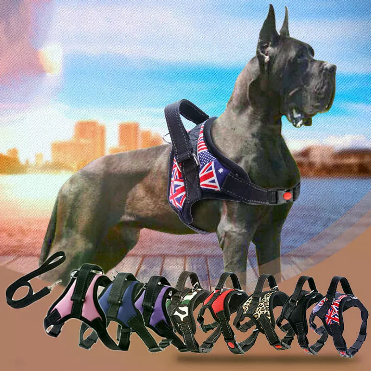 Meilleurs prix pour Harnais Reflective en Maille