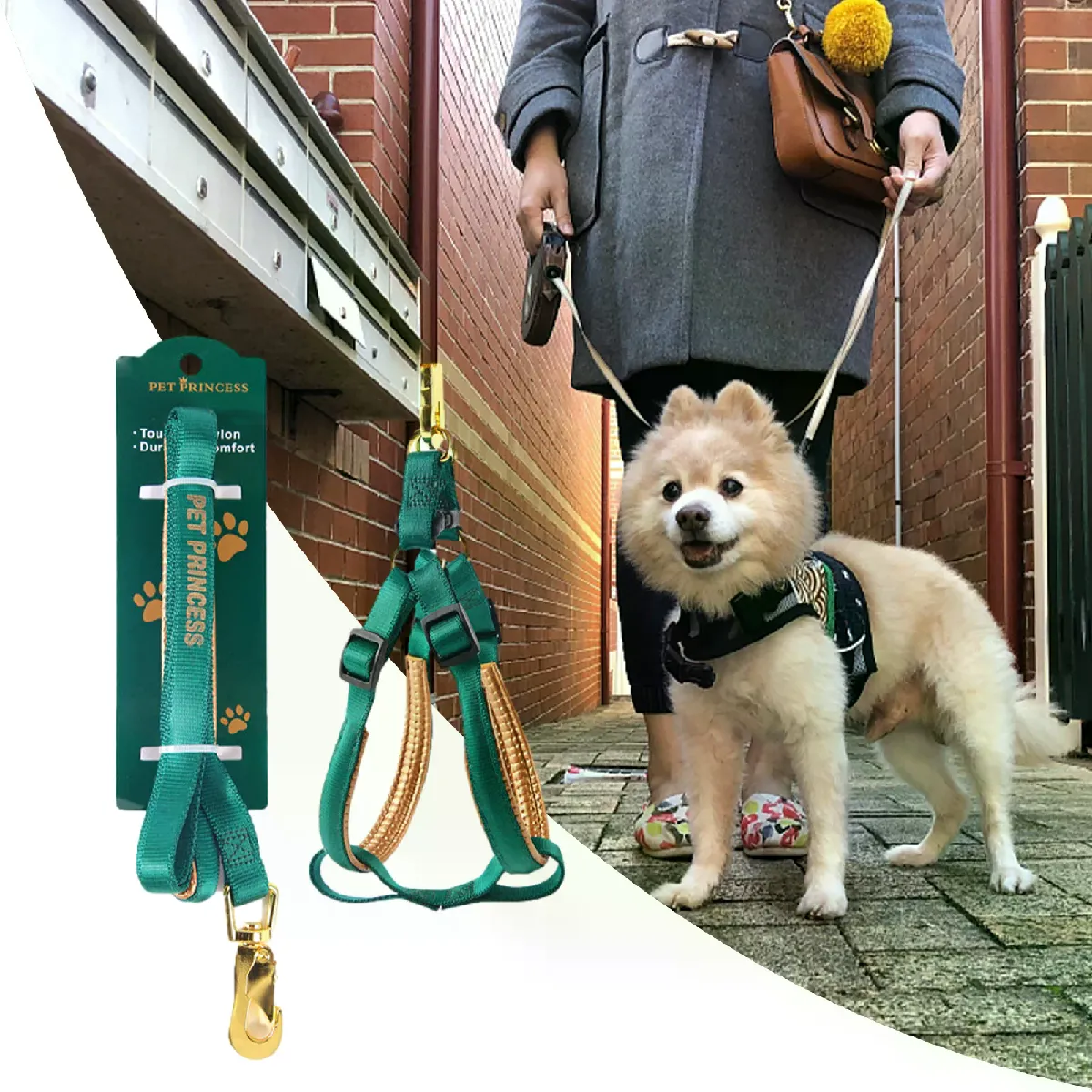 Comparer les prix de Harnais de Marche en Nylon