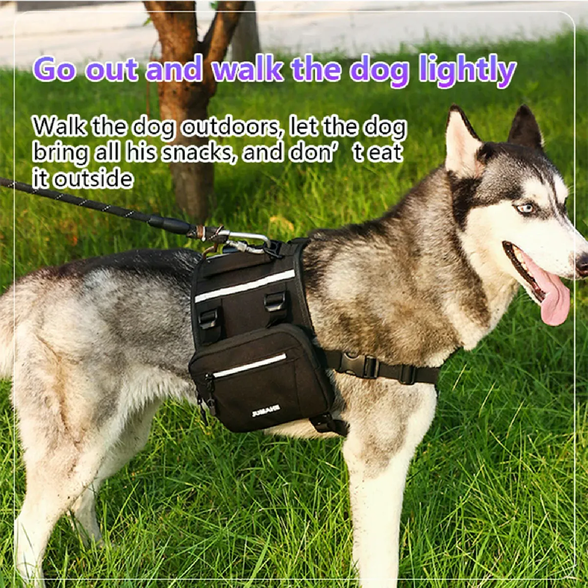 Comparer les prix de Harnais Respirant Réfléchissant