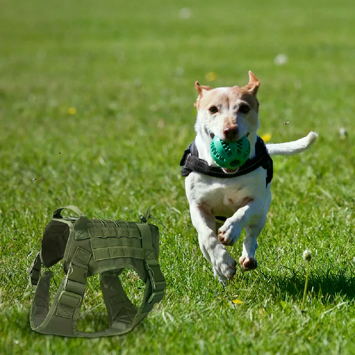 Meilleurs prix pour Gilet Tactique en Nylon