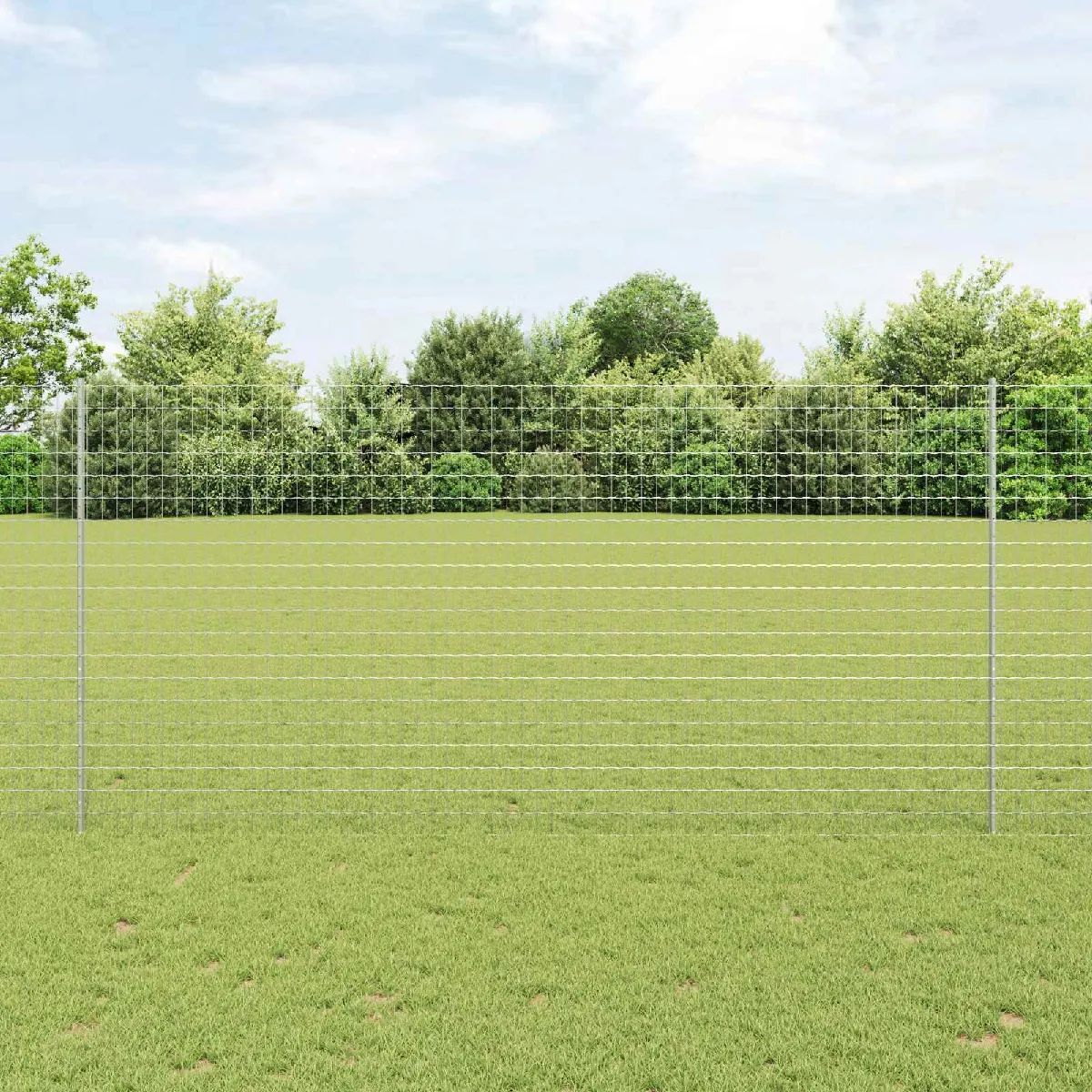 vidaXL Clôture en fil soudé 10 x 1,6 m (l x h) Acier galvanisé à chaud