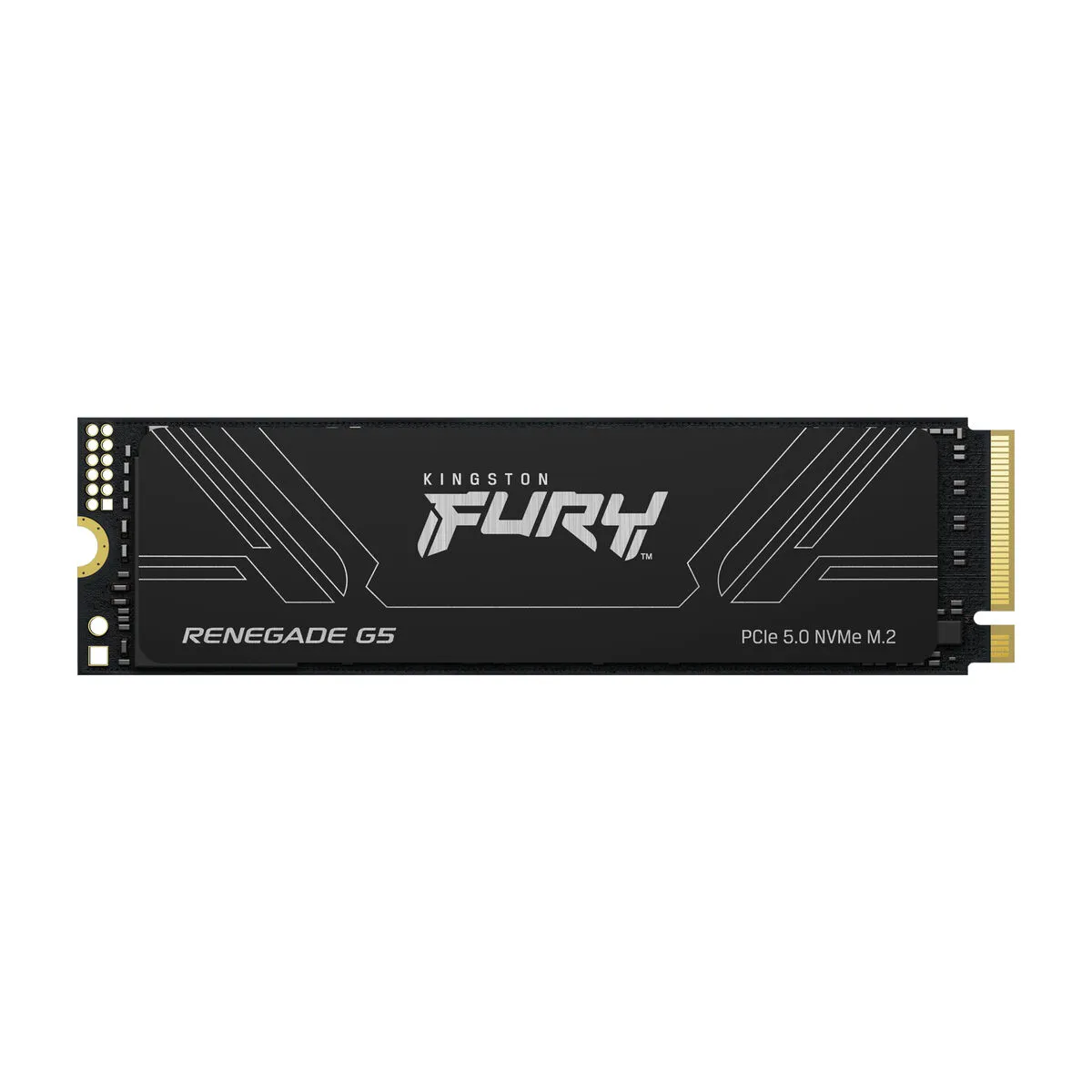 Kingston FURY Renegade G5 4 To - vue 2