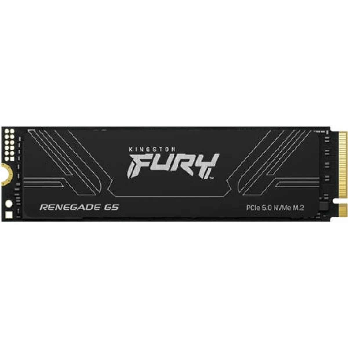 Kingston FURY Renegade G5 4 To - vue 1