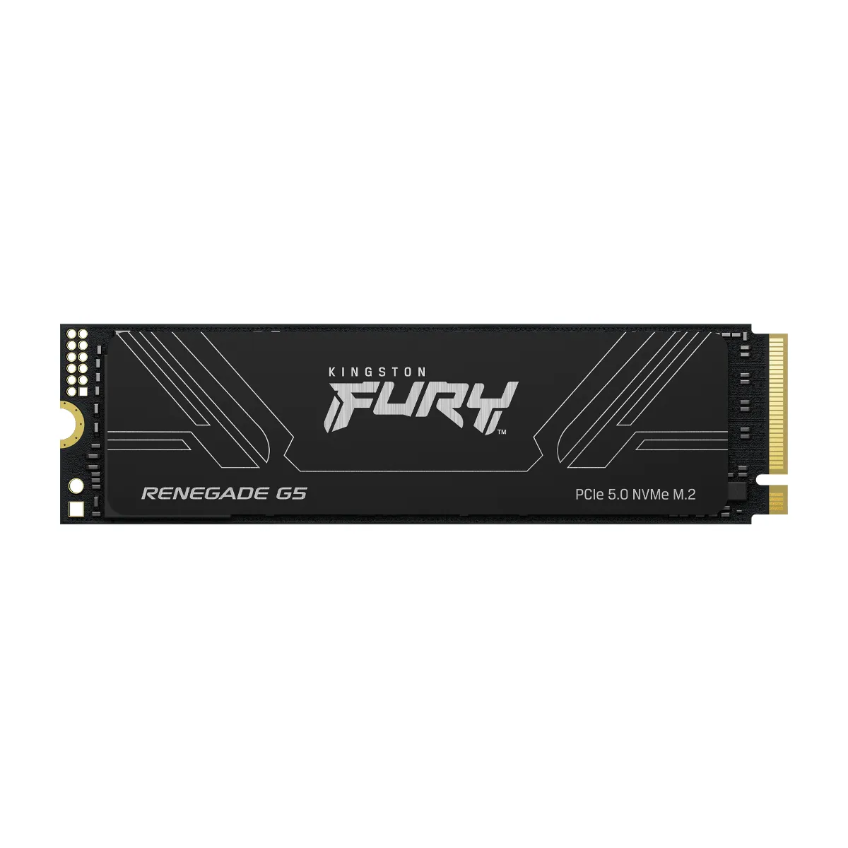 Kingston FURY Renegade G5 4 To - vue 4