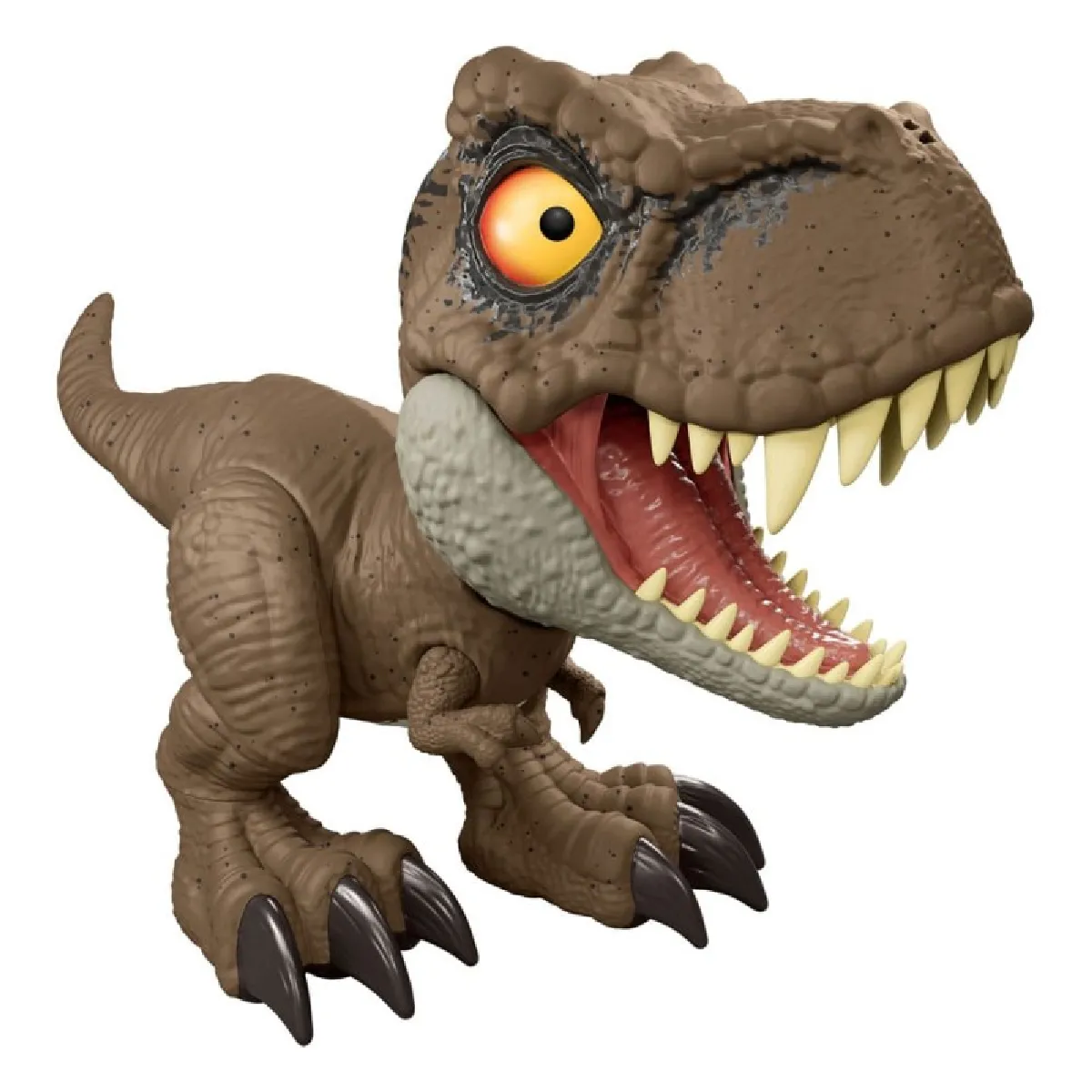 T REX INTERACTIF - vue 10