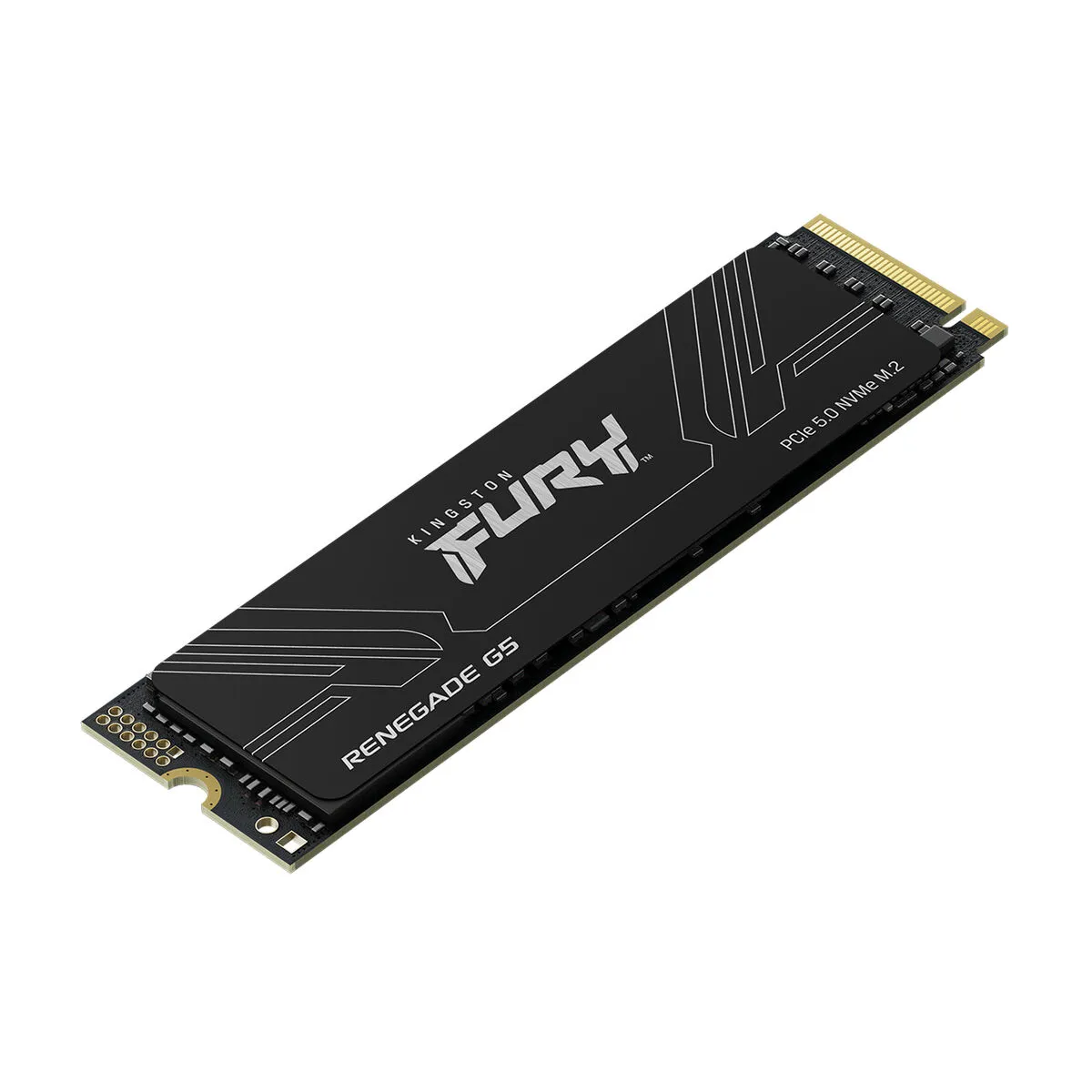 Kingston FURY Renegade G5 4 To