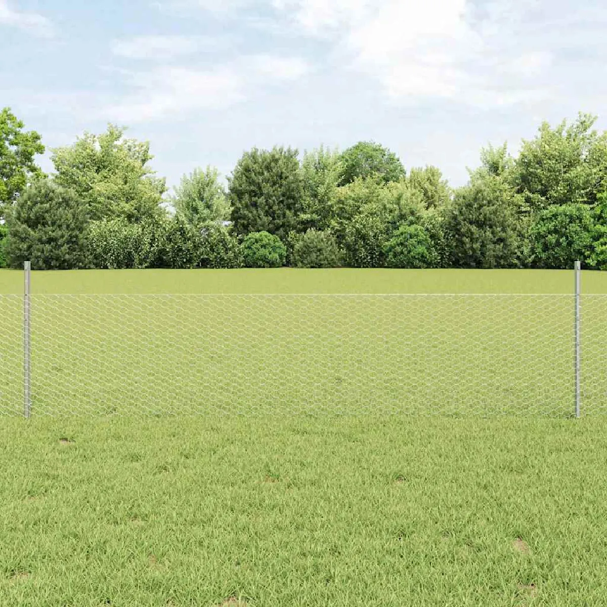 vidaXL Clôture en fil soudé 10 x 0,5 m (L x H) Acier galvanisé à chaud