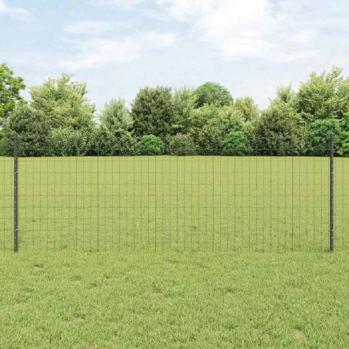 vidaXL Clôture en fil soudé 10 x 0,8 m (L x H) Acier recouvert de PVC
