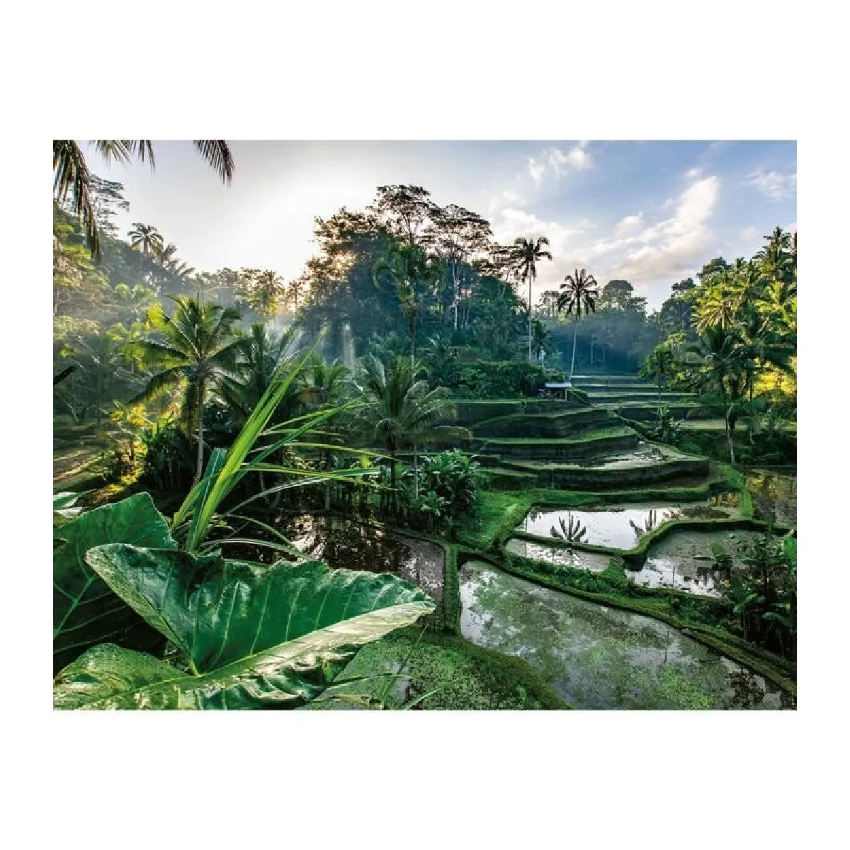 Puzzle 2000 pièces : Au coeur de Bali Ravensburger Nathan - vue 10