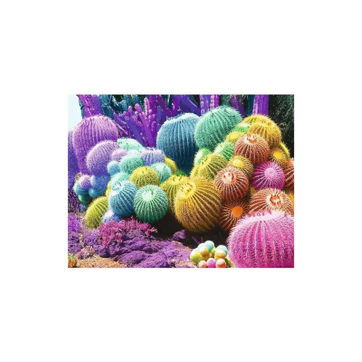 Puzzle 2000 pièces Nathan