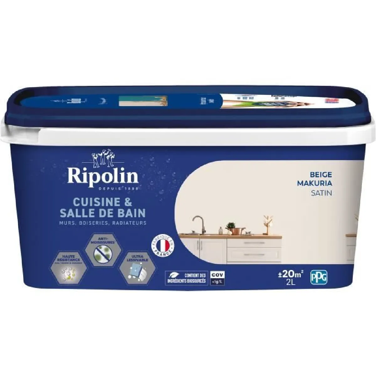 RIPOLIN - Peinture Et Vernis