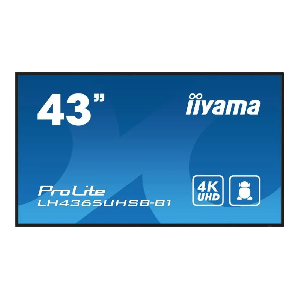 Iiyama Ips - Prolite Lh4365uhsb-B1