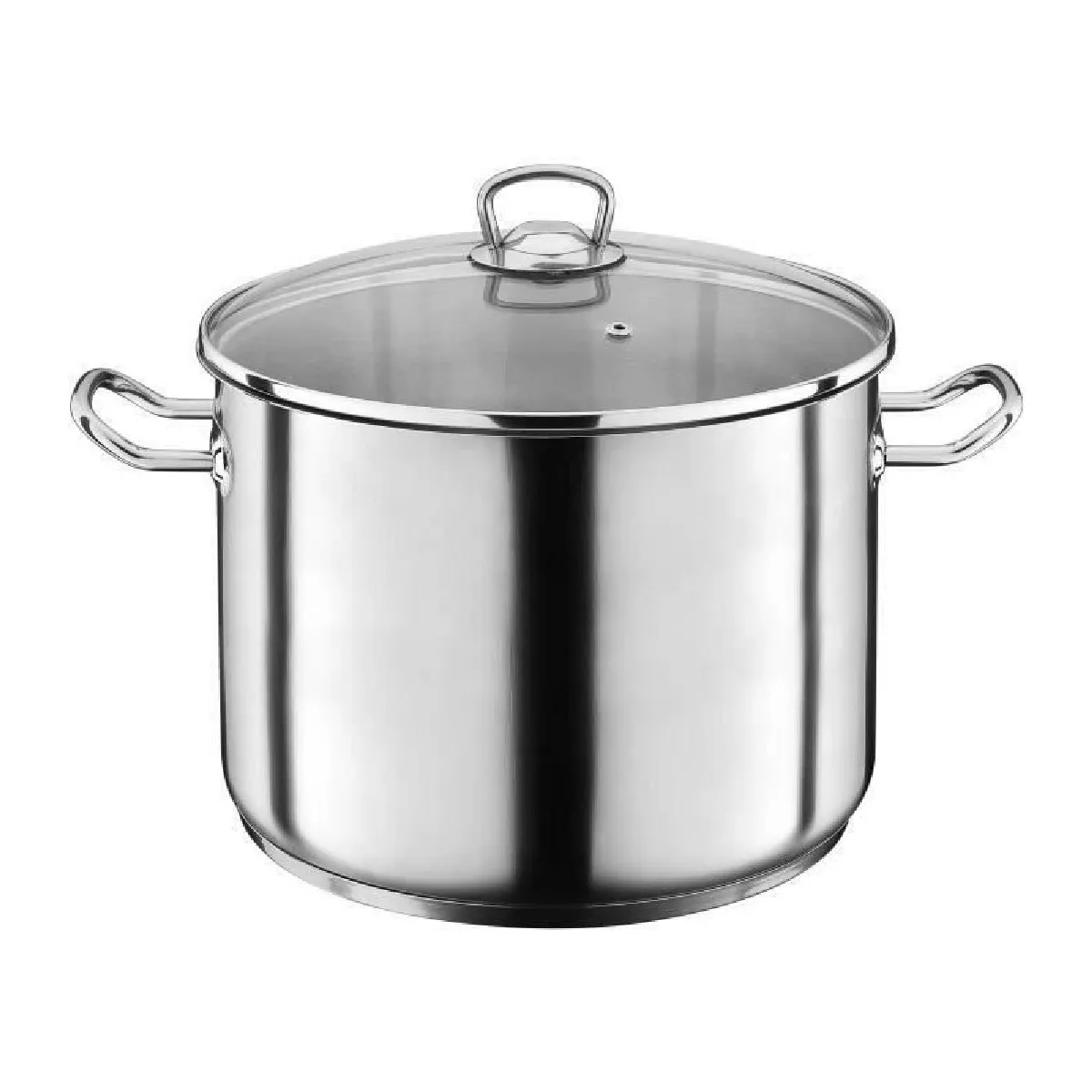 Gsw Marmite Induction Acier 30 Cm