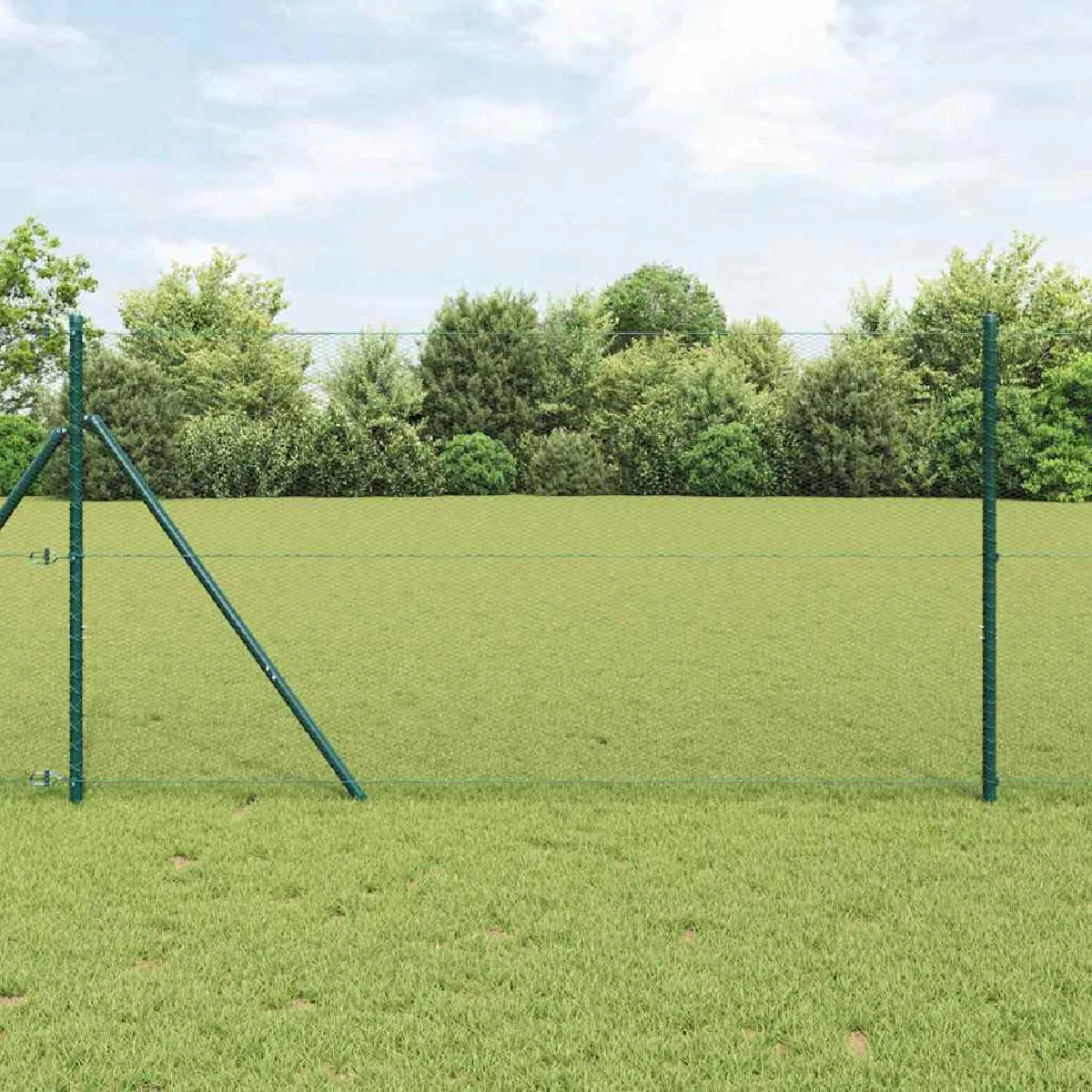 Vidaxl Clôture en fil soudé pour sol 50 x 1,2 m (l x h)
