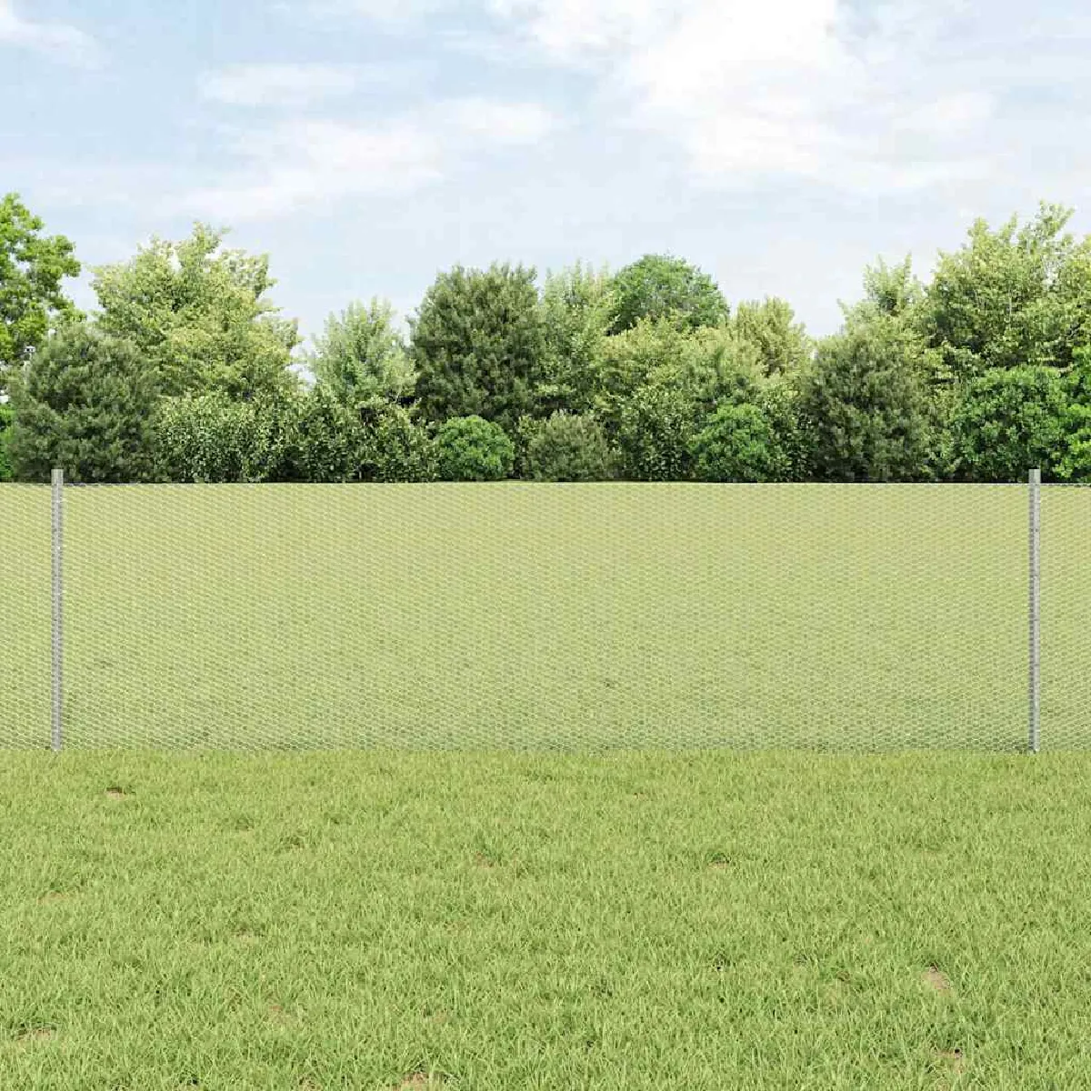vidaXL Clôture en fil soudé 10 x 0,6 m (L x H) Acier galvanisé à chaud