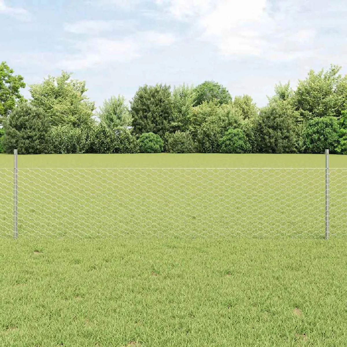 vidaXL Clôture en fil soudé 10 x 0,5 m (L x H) Acier galvanisé à chaud