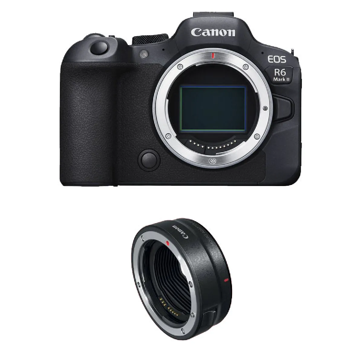 CANON EOS R6 MARK II nu + Bague EF EOS R Neuf - vue 5