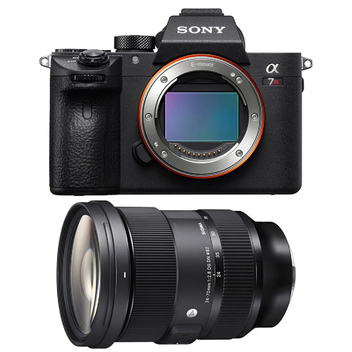 SONY ALPHA 7R III + SIGMA 24-70 f/2.8 Art SONY FE