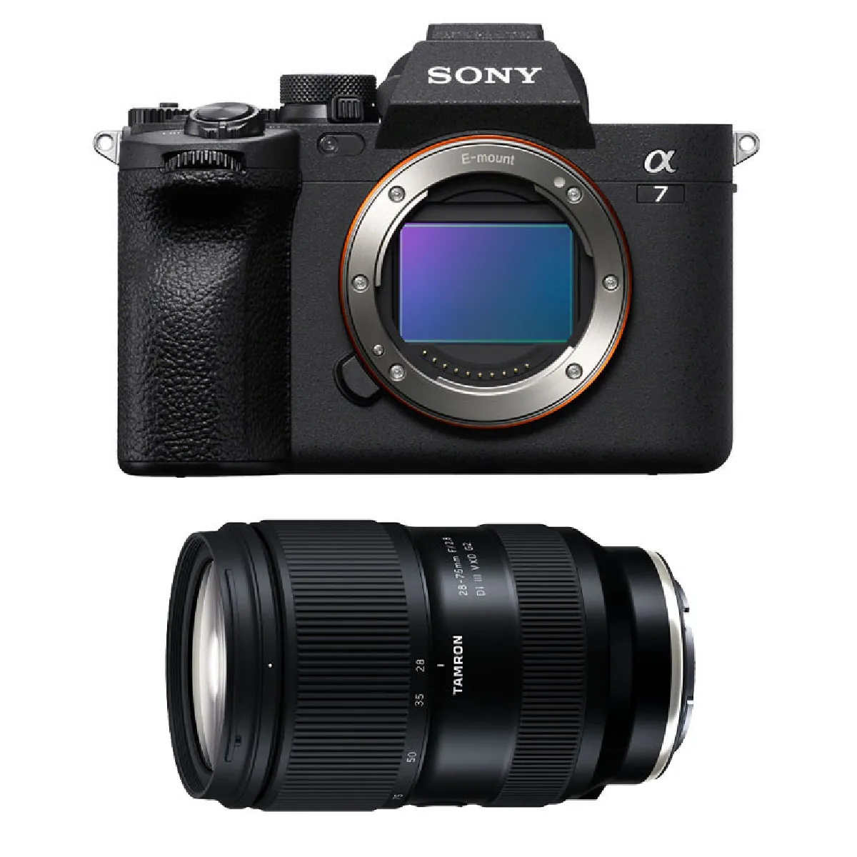 SONY ALPHA 7 IV + TAMRON 28 75mm f2.8 G2 Di III VXD SONY FE Appareil photo hybride professionnel avec objectif zoom haute performance Neuf - vue 9