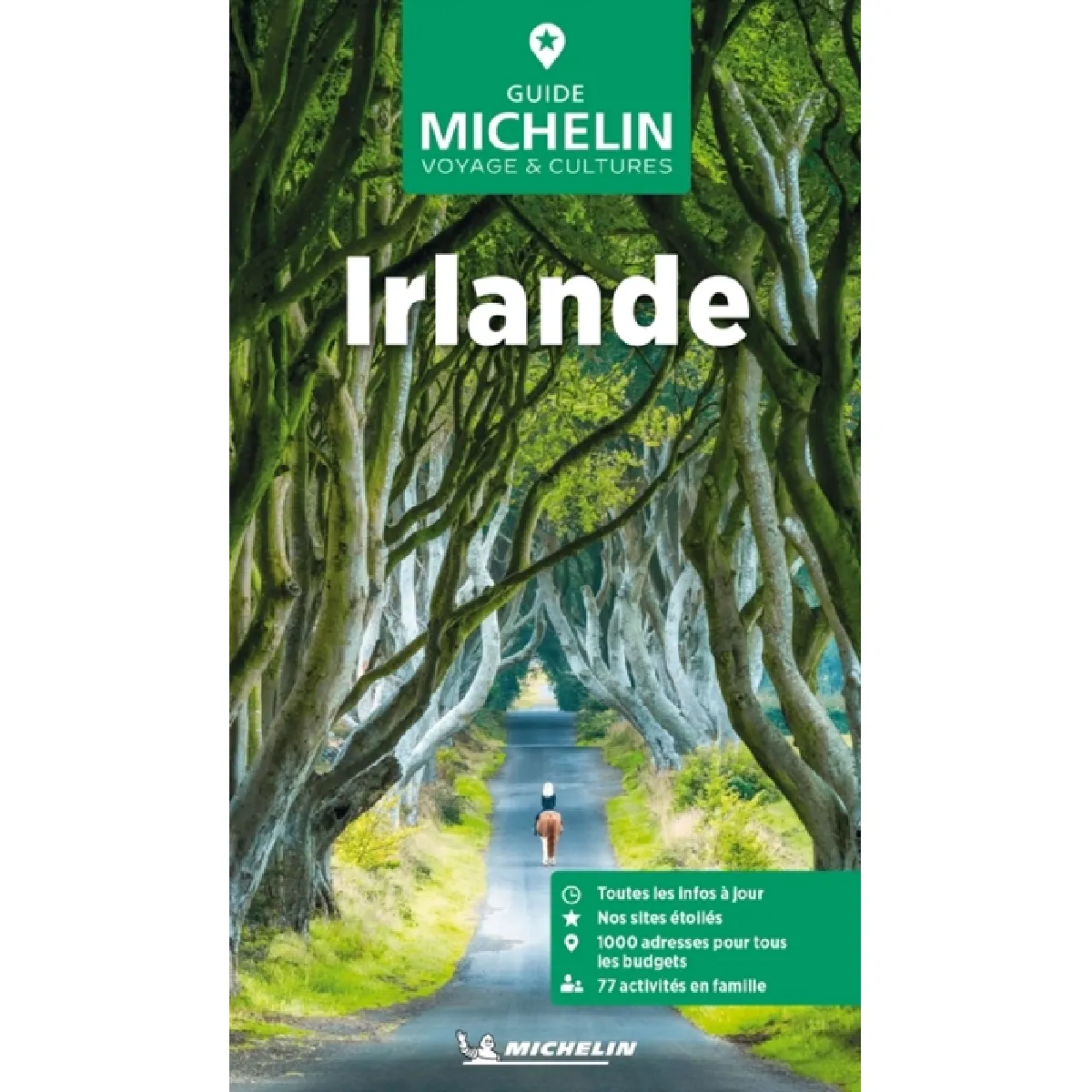 Vert Guide Irlande - Image 2