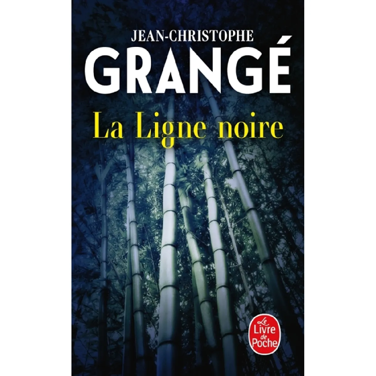 La ligne noire