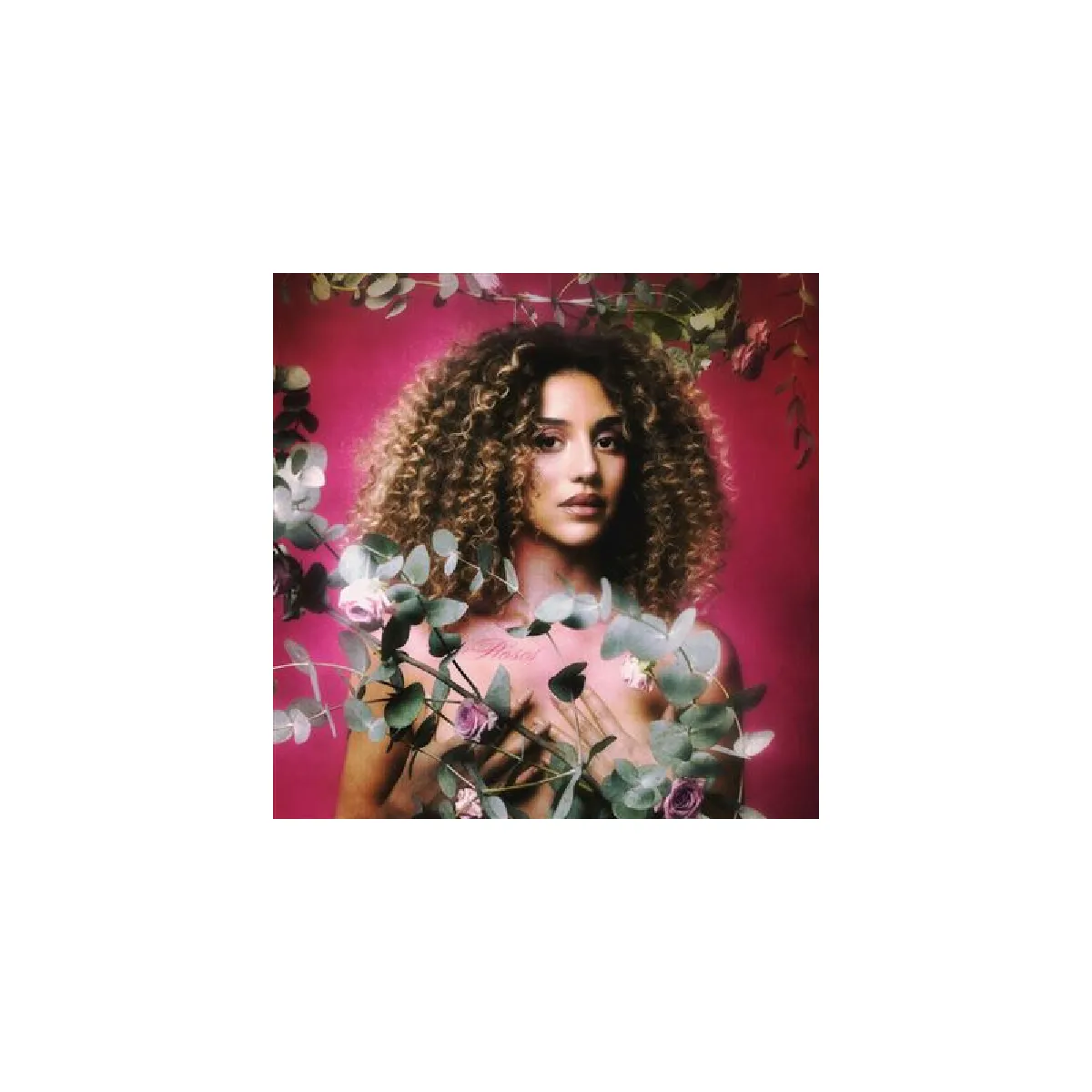 6 Et 7 - Kimberose Roses - Image 2