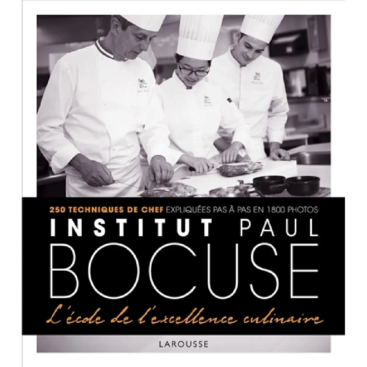 Institut Paul Bocuse - L'&eacute;cole de l'excellence culinaire