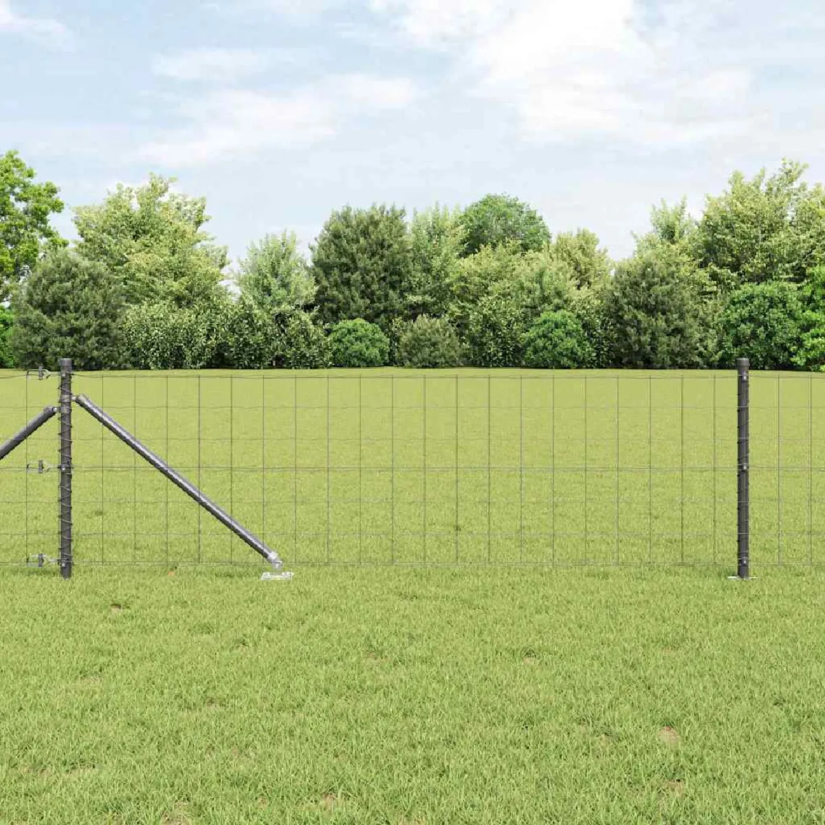 vidaXL Clôture en fil soudé avec pointes 50 x 0,4 m (L x H)