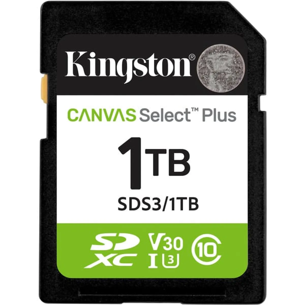 Kingston Canvas Select Plus - Carte mémoire flash - 1 To - Video Class V30 / UHS-I U3 / Class10 - SDXC UHS-I