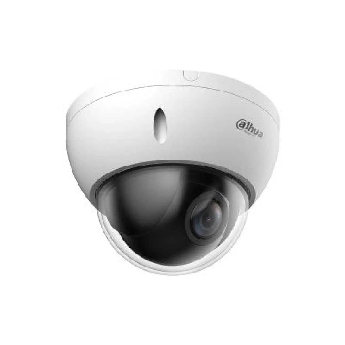 Caméra de Sécurité IP Dahua WizSense Dôme PoE 4MP 2.8mm Extérieur IP66 SD22404DB GNY
