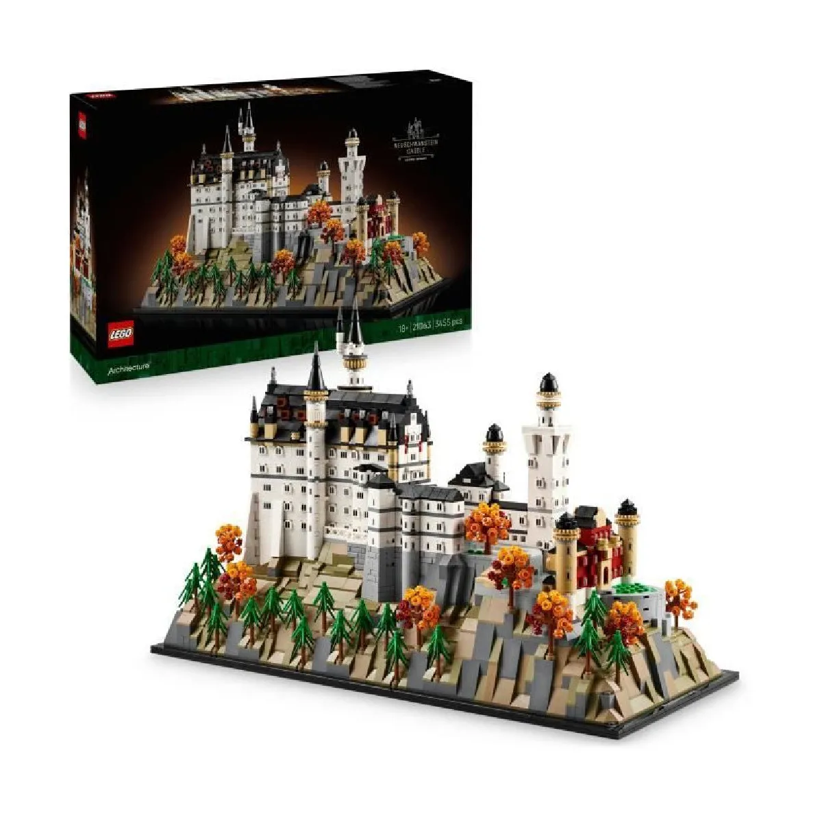 Le château de Neuschwanstein - vue 4