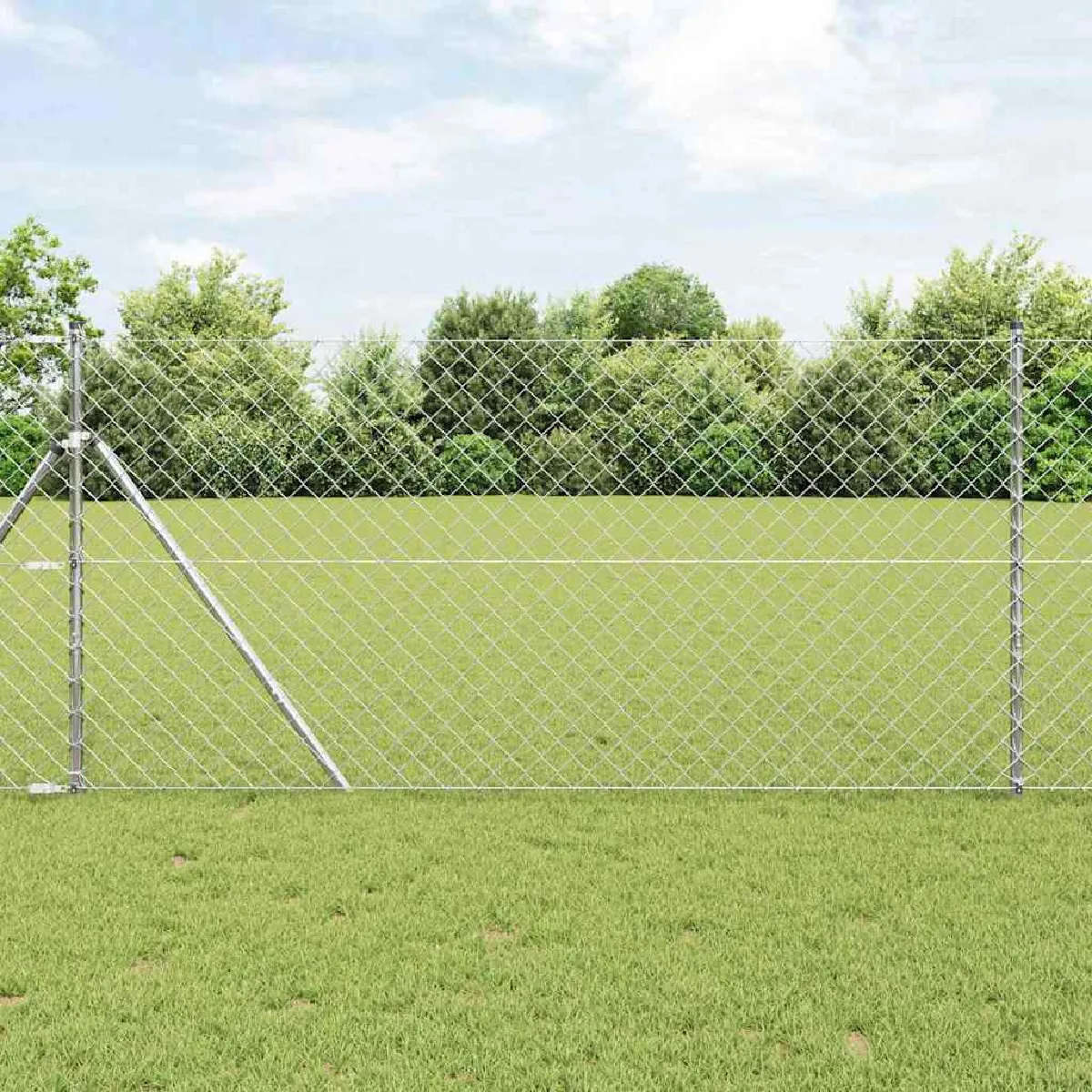 vidaXL Clôture en maillon de chaîne avec 7 poteaux à pointe 1x10 en acier galvanisé - vue 5